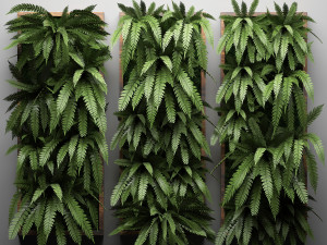 vertical gardening fern wall 3 Model 3D