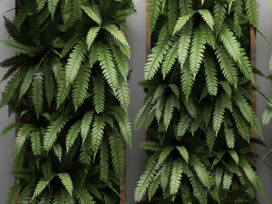 vertical gardening fern wall 3 Model 3D