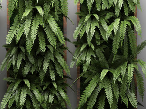 vertical gardening fern wall 3 Model 3D