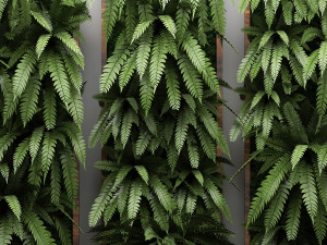 vertical gardening fern wall 3 Model 3D