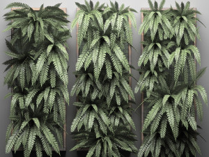vertical gardening fern wall 3 Model 3D