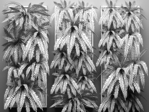 vertical gardening fern wall 3 Model 3D