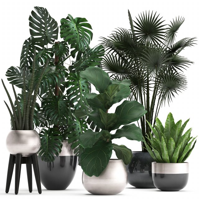 collection of exotic plants Model 3D .c4d .max .obj .3ds .fbx .stl .blend 