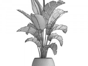 banana palm in a pot 3D Model