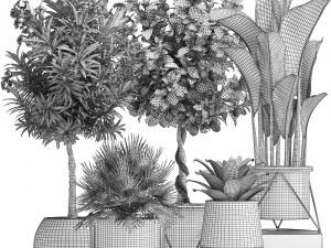 collection of ornamental plants 3D 모델