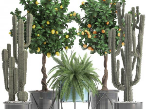 collection of ornamental plants 3D Model