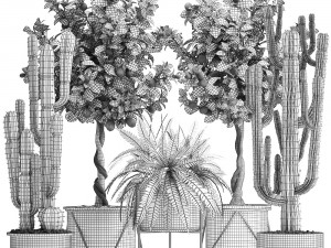 collection of ornamental plants 3D Модель