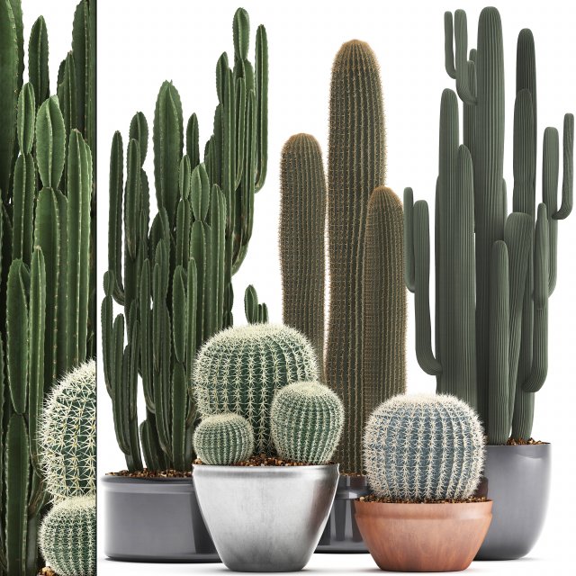 collection of exotic cactus plants 2 Modello 3D .c4d .max .obj .3ds .fbx .stl .blend 