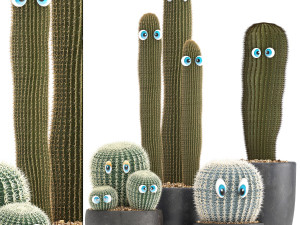 cactus with eyes in a pot 3D Model