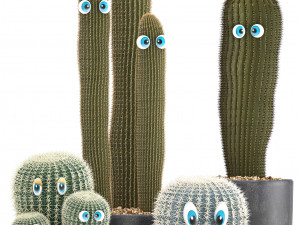 cactus with eyes in a pot Model 3D