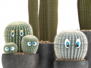 cactus with eyes in a pot Model 3D