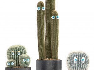 cactus with eyes in a pot Model 3D