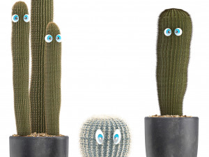 cactus with eyes in a pot Model 3D
