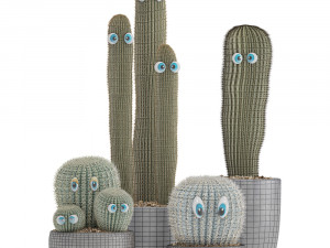 cactus with eyes in a pot Model 3D
