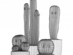 cactus with eyes in a pot Model 3D