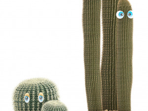 cactus with eyes in a pot Model 3D