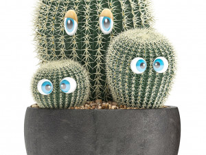 cactus with eyes in a pot Model 3D