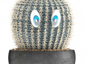cactus with eyes in a pot Model 3D