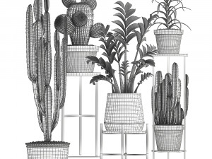 collection of exotic cactus plants 4 3Dモデル