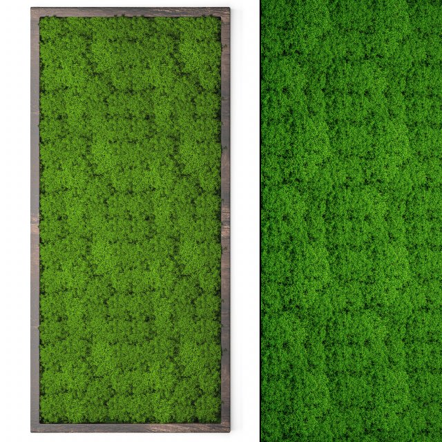 stabilized moss 15 3D Model .c4d .max .obj .3ds .fbx .stl .blend 