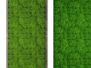 стабілізований мох 15 3D Модель