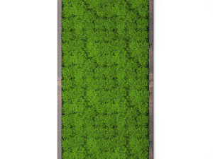 stabilized moss 15 3D Model