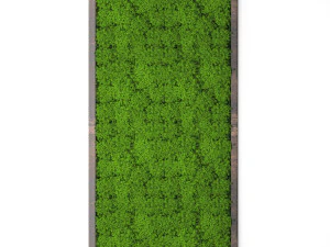 stabilized moss 15 3D Model