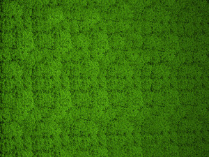 stabilized moss 15 3D Model