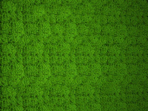 stabilized moss 15 3D Model