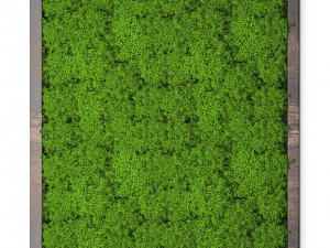 stabilized moss 15 3D Model
