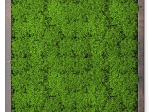 stabilized moss 15 3D Model