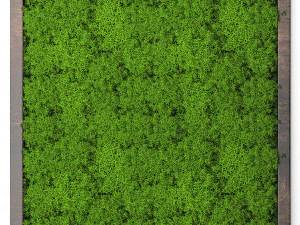 stabilized moss 15 3D Model