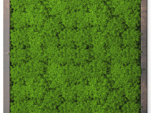 stabilized moss 15 3D Model
