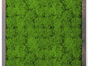 stabilized moss 15 3D Model