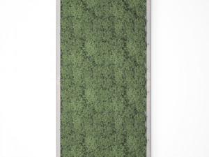 stabilized moss 15 3D Model