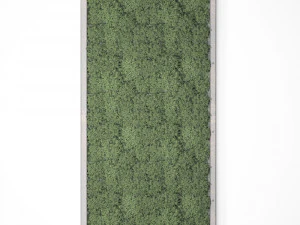 stabilized moss 15 3D Model