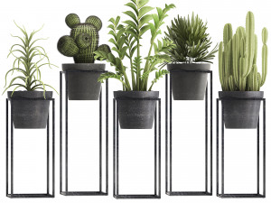 collection of exotic plants 3D Модель