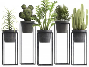 collection of exotic plants 3D Model