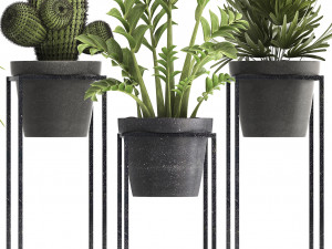 collection of exotic plants 3D Модель