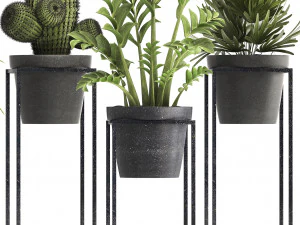 collection of exotic plants 3D Model