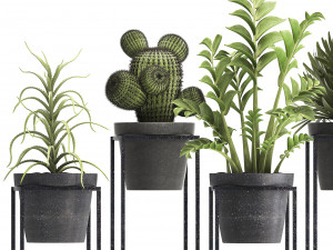 collection of exotic plants 3D Модель