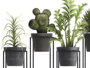 collection of exotic plants 3D Model