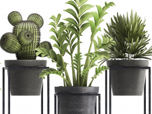 collection of exotic plants 3D Модель