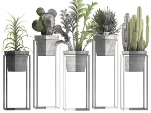 collection of exotic plants 3D Model