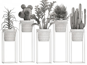 collection of exotic plants 3D Модель