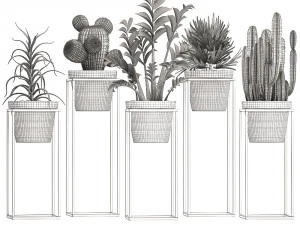 collection of exotic plants 3D Model