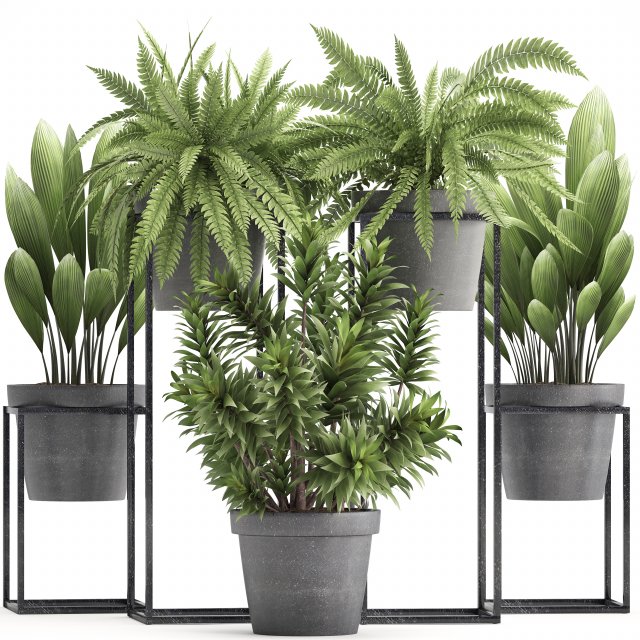 collection of exotic plants 3D 模型 .c4d .max .obj .3ds .fbx .stl .blend 