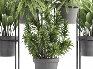 collection of exotic plants 3D 模型