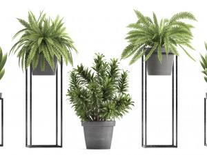 collection of exotic plants 3D 模型