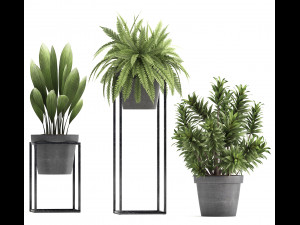 collection of exotic plants 3D 模型